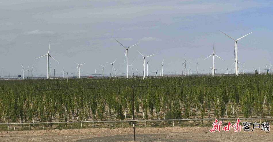 甘肃单月新能源发电量和电力外送量双破百亿度